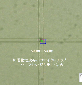 マイクロチップ切り出し事例